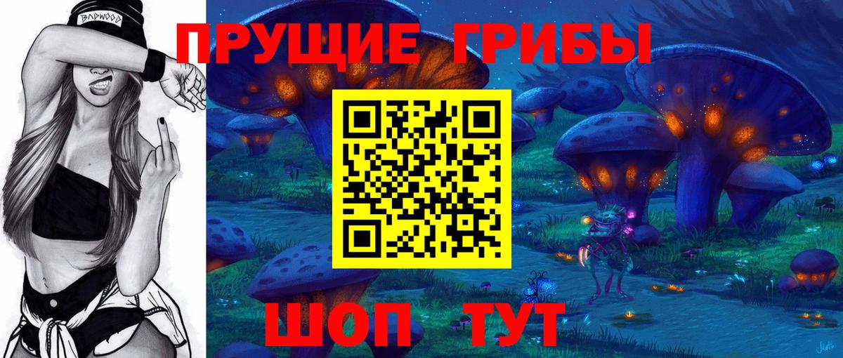 Галлюциногенные грибы Psilocybine cubensis Белая Калитва
